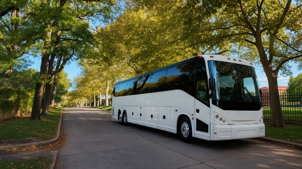 pleasanton bachelor and bachelorette party bus rentals